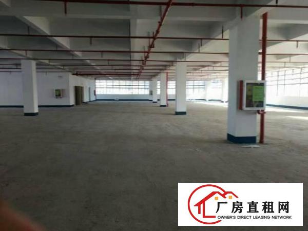 
50米卸货平台40680平消防喷淋坪山大工业区