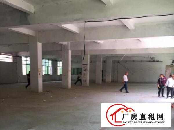 
坪山天虹对面工业区独院厂房4800平米业主急租