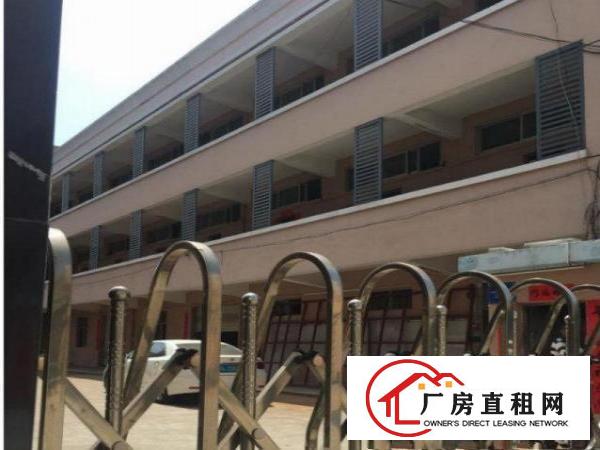 
坪山天虹对面工业区独院厂房4800平米业主急租