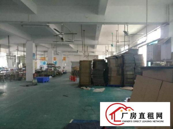 
横坪路边坪山碧岭二楼带装修厂房500平分租