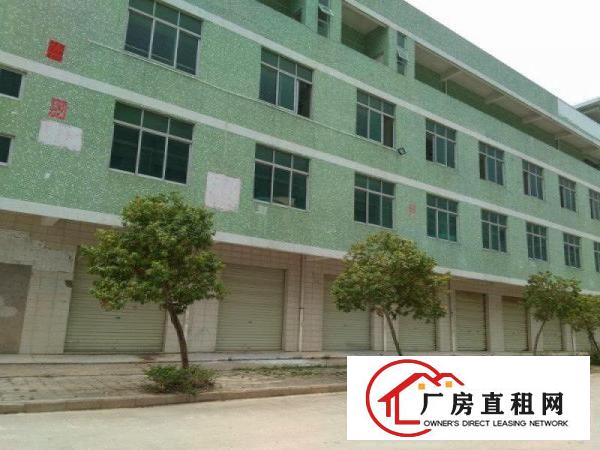 
坪山马峦新出一楼标准345平有消防厂房出租