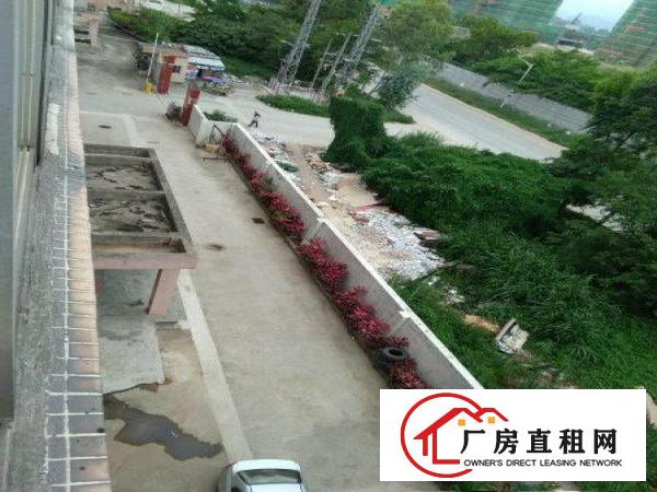 
坪山马峦新出一楼标准345平有消防厂房出租