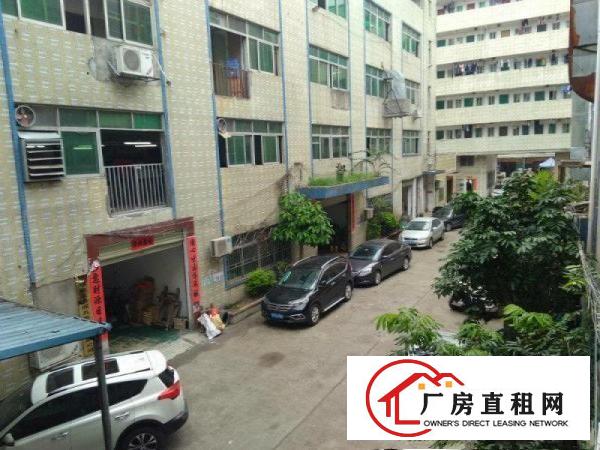 
坪山马峦街道新出原房东一楼377平标准厂房招商