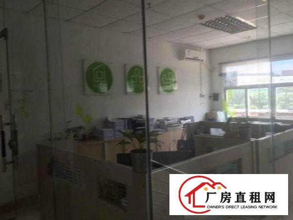 
坪山大工业区独门独院钢结构厂房业主直租