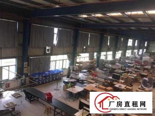 
坪山大工业区独门独院钢结构厂房业主直租