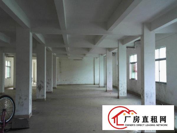 
坪山碧岭经典小独院2800平厂房出租