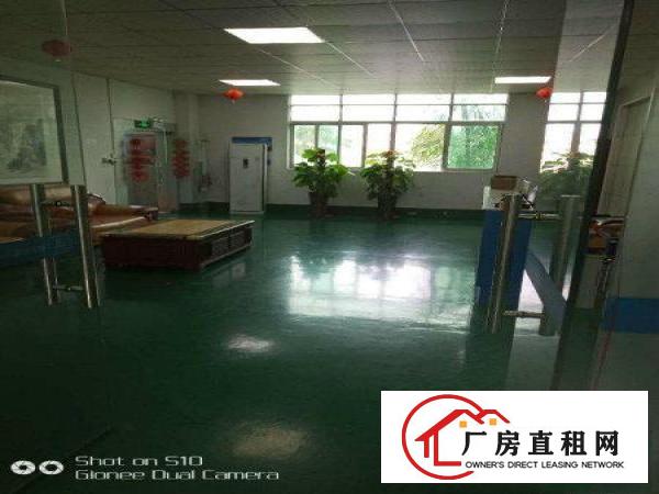 
坪山新出楼上带精装修厂房1200平
