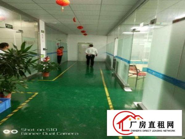 
坪山新出楼上带精装修厂房1200平