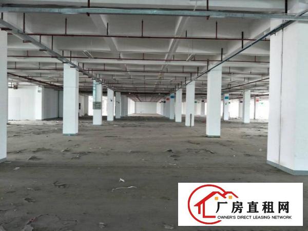 
带卸货平台物流仓库招租15000