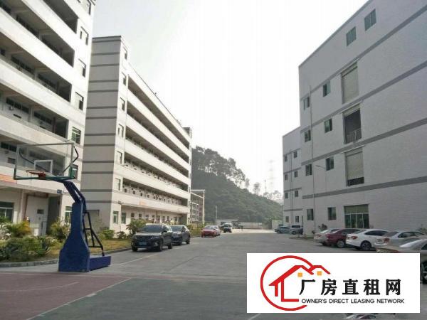 
坪山大工业区独栋厂房2、3楼各3000平出租
