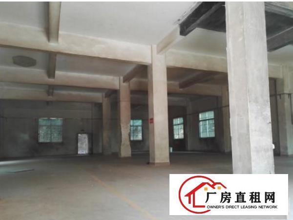 
坪山碧岭经典小独院2800平厂房出租