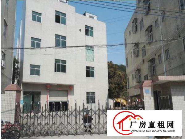 
坪山碧岭经典小独院2800平厂房出租