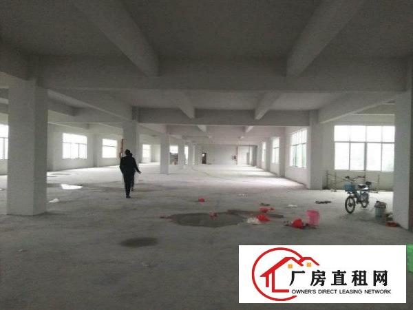 
坪山坑梓原房东独门独院厂房招租，可分租