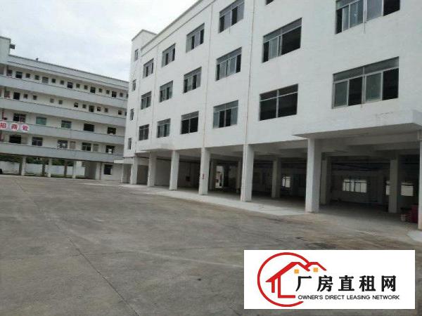 
坪山坑梓全新厂房招租，大小可分租