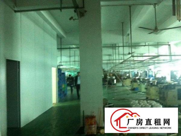 
坑梓秀新工业区新出七米高一楼1800平方出租