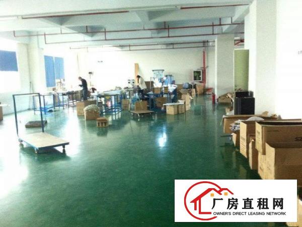 
坑梓秀新工业区新出七米高一楼1800平方出租