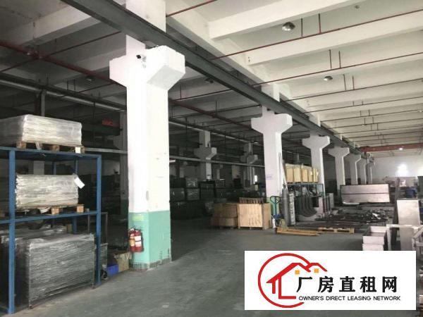 
[坑梓厂房]坑梓一楼层高6米带牛角厂房3500平