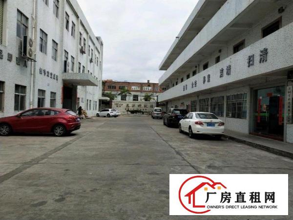 
坑梓厂房300平米，一楼招租。