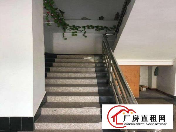 
坑梓厂房300平米，一楼招租。
