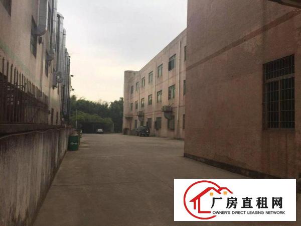 
老坑工业区独院三层厂房及宿舍9800平方米分层招租