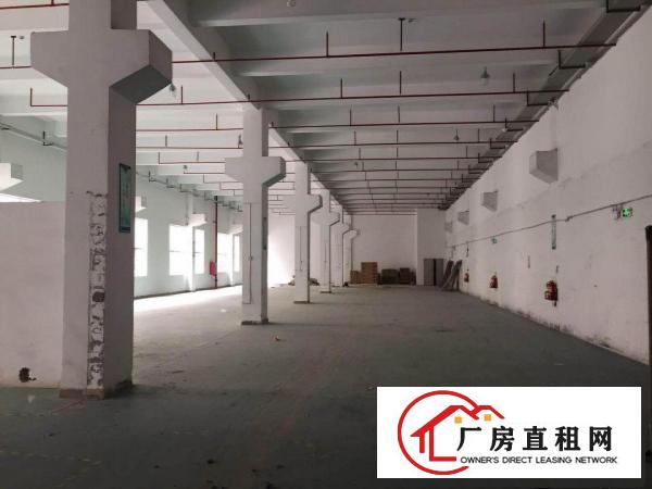 
老坑工业区独院三层厂房及宿舍9800平方米分层招租