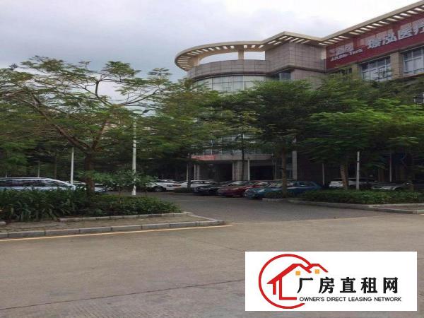 
坑梓大型科技园四楼1800平方带空中私家花园招租