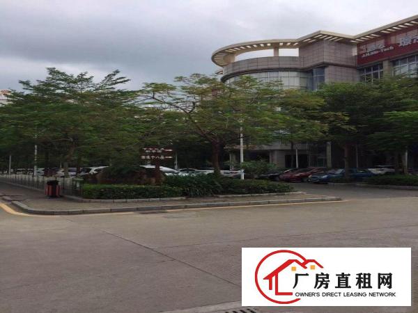 
坑梓大型科技园四楼1800平方带空中私家花园招租