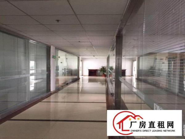 
坑梓大型科技园四楼1800平方带空中私家花园招租