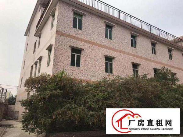 
坪山区金沙工业区6880平方米厂房分栋及分层招租