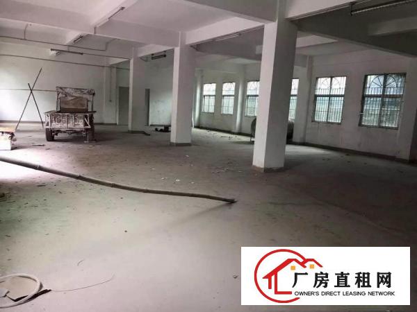 
坪山区金沙工业区6880平方米厂房分栋及分层招租