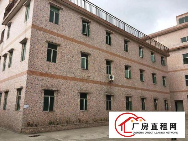 
坑梓新出独门独院厂房3000平主道边送办公室装修