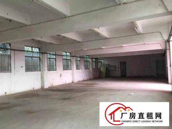 
坑梓新出独门独院厂房3000平主道边送办公室装修
