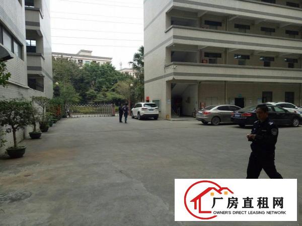 
坑梓深汕路边一楼厂房1000平方出租