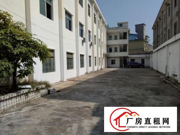 
坑梓金沙精装修2600平米独院厂房出租