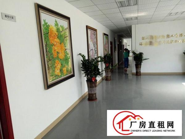 
坑梓金沙精装修2600平米独院厂房出租