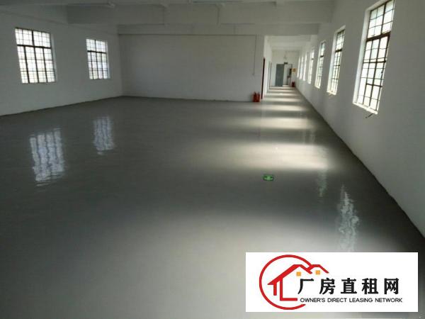 
坑梓金沙精装修2600平米独院厂房出租