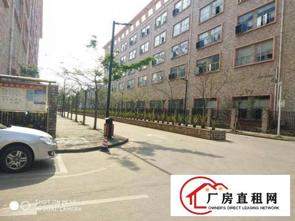 
坑梓新出原房东独院7600平，一楼带牛角招租可分租