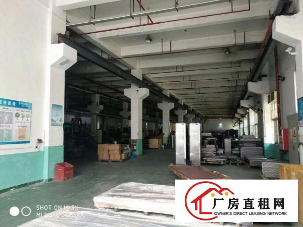 
坑梓新出原房东独院7600平，一楼带牛角招租可分租