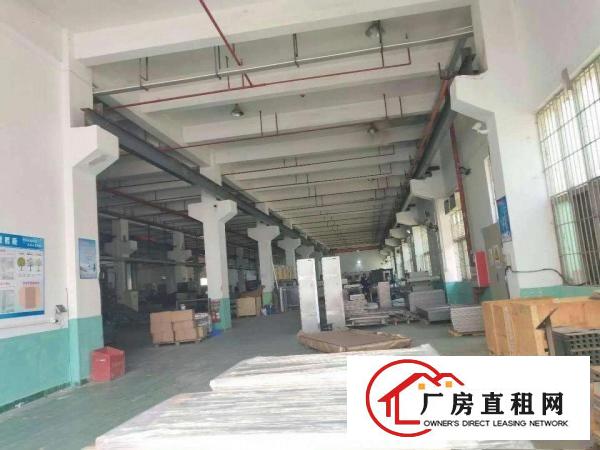 
坑梓新出原房东独院7600平，一楼带牛角招租可分租