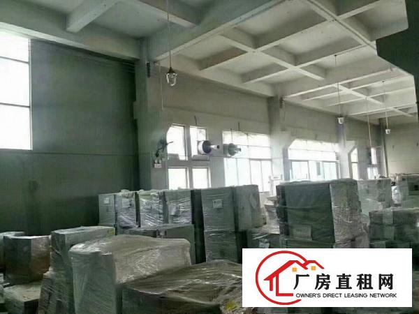 
出租！坑梓一楼标准厂房6.5米高，仅此一家