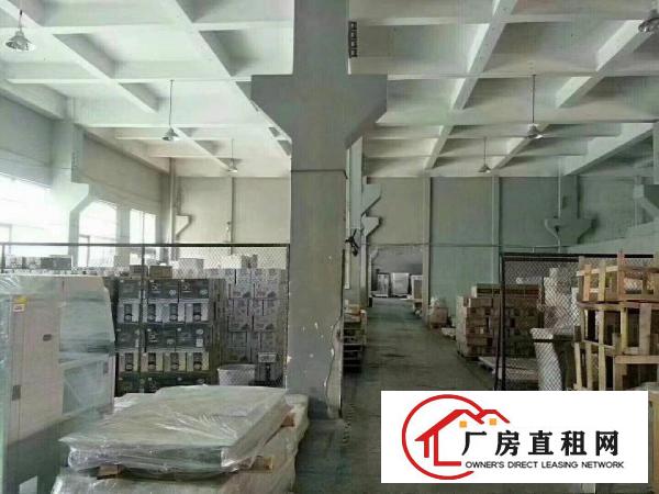 
出租！坑梓一楼标准厂房6.5米高，仅此一家