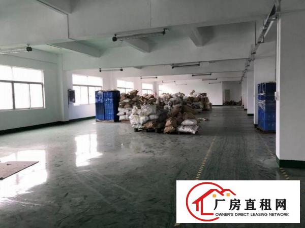 
坑梓全新装修标准独院红本厂房6950平米诚租