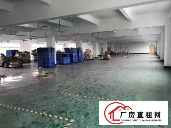 
坑梓全新装修标准独院红本厂房6950平米诚租