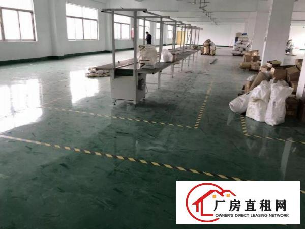 
坑梓全新装修标准独院红本厂房6950平米诚租