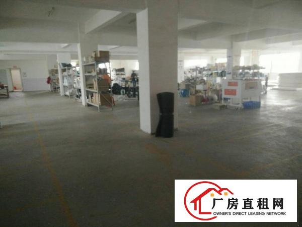 
原房东标准一楼1000平高5米带三吨电梯有空地
