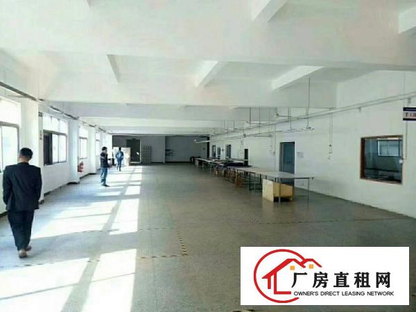 
坑梓村委厂房4200平带精装修