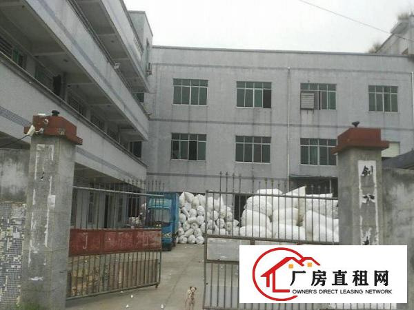 
坑梓村委厂房4200平带精装修