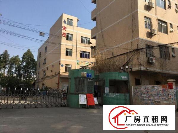 
坪山新区坑梓一二楼3000平米带装修厂房可分租