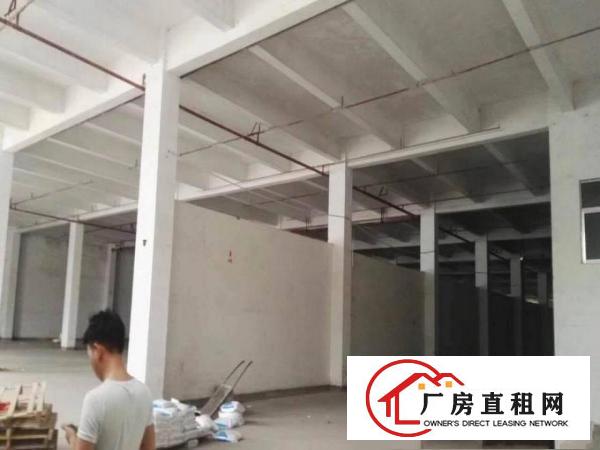 
坑梓金沙新出独栋12000层高7米厂房出租