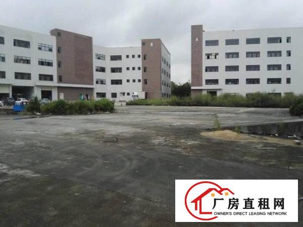 
坑梓金沙新出独栋12000层高7米厂房出租